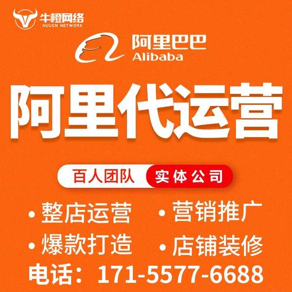 慈溪电商代运营