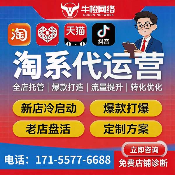 慈溪电商代运营