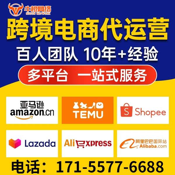 慈溪电商代运营