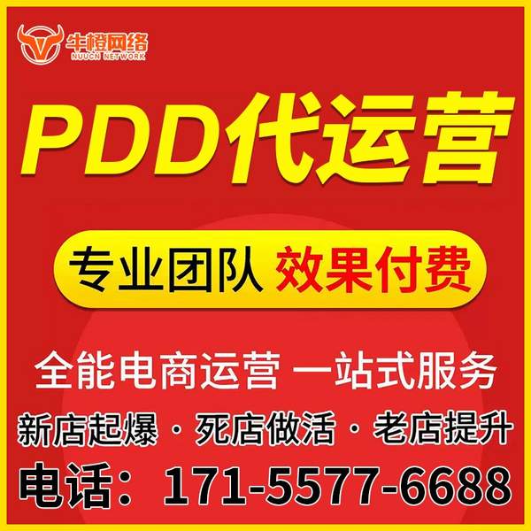 慈溪电商代运营