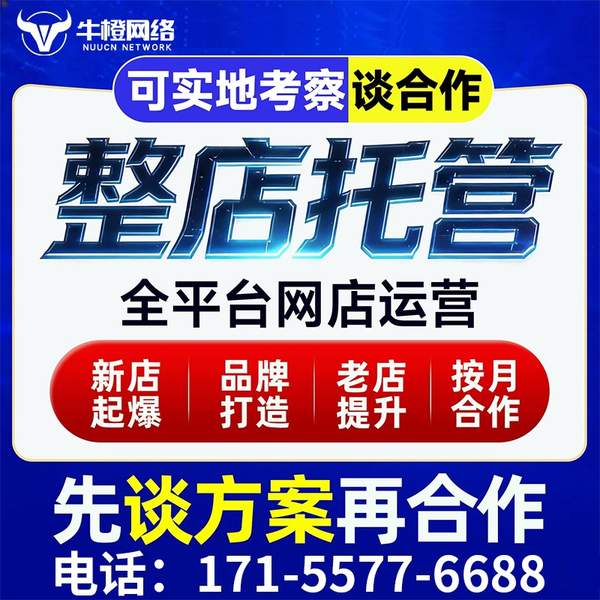 慈溪电商代运营