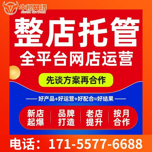 慈溪电商代运营