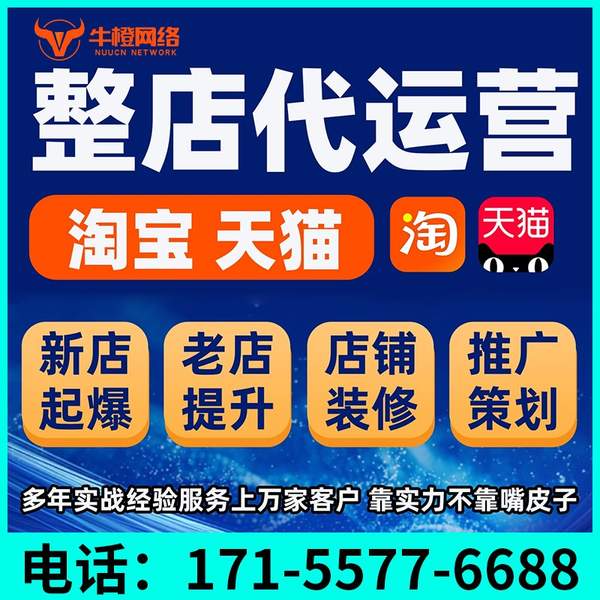 慈溪电商代运营