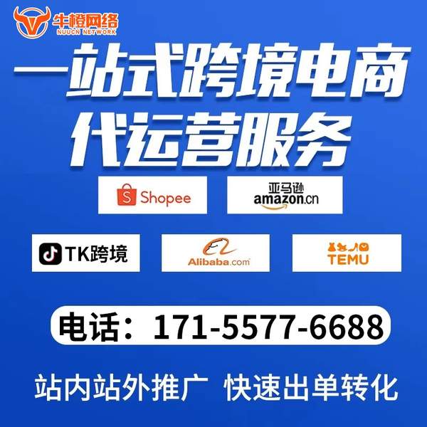 慈溪电商代运营