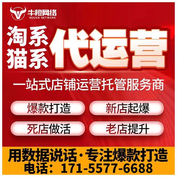 慈溪电商代运营